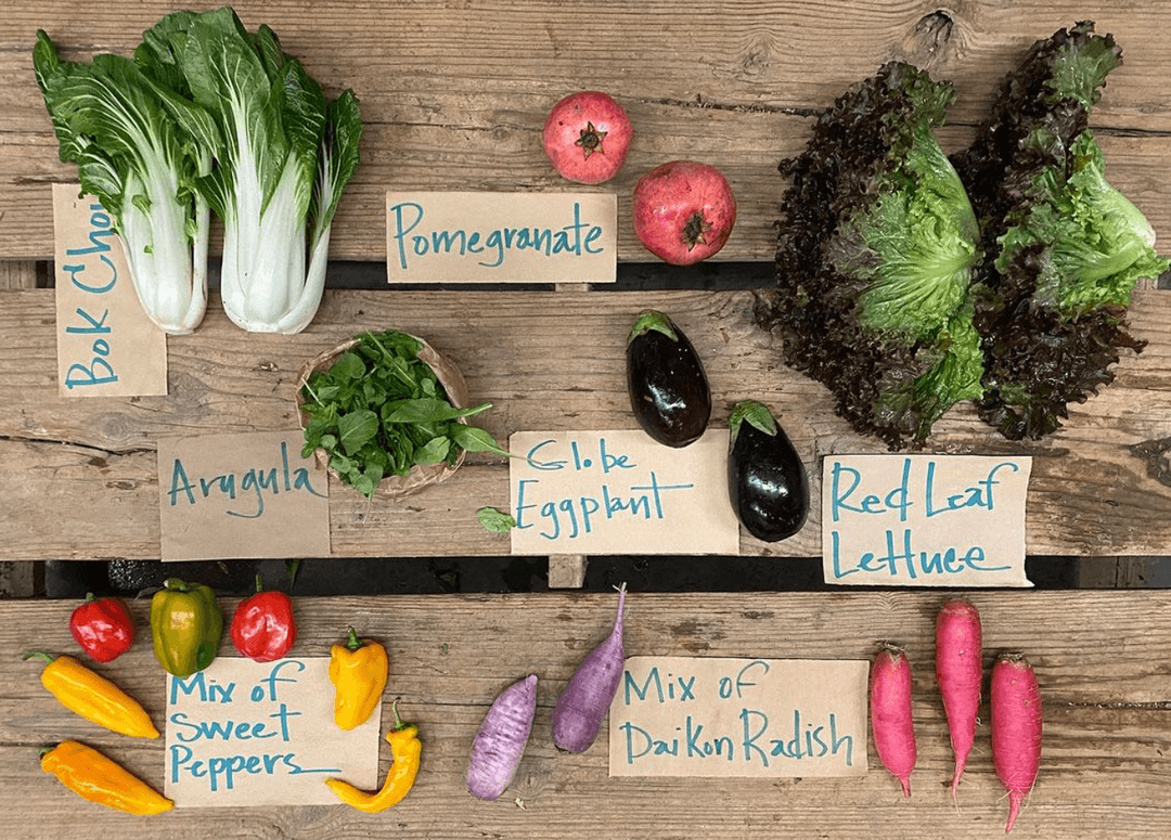 Riverdog Farm CSA Weekly Farm Boxes